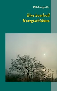 Eine handvoll Kurzgeschichten - Dirk Mengwaßer - E-Book