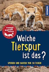 Welche Tierspur ist das? Kindernaturführer - Anita van Saan - E-Book