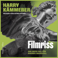 Filmriss (ungekürzt) - Harry Kämmerer - Hörbuch