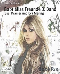 Gabriellas Freunde 3. Band - Lissa Seebauer - E-Book