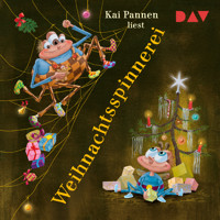 Weihnachtsspinnerei - Kai Pannen - Hörbuch