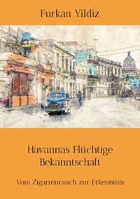 Havannas Flüchtige Bekanntschaft - Furkan Yildiz - E-Book