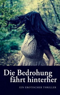 Die Bedrohung fährt hinterher - Patrick Salm - E-Book