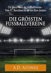 Die neun größten Fußballvereine der Welt - A.D. Astinus - E-Book