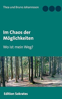 Im Chaos der Möglichkeiten - Thea Johannsson - E-Book