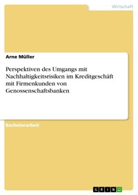 Perspektiven des Umgangs mit Nachhaltigkeitsrisiken im Kreditgeschäft mit Firmenkunden von Genossenschaftsbanken - Arne Müller - E-Book