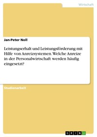 Leistungserhalt und Leistungsförderung mit Hilfe von Anreizsystemen. Welche Anreize in der Personalwirtschaft werden häufig eingesetzt? - Jan-Peter Noll - E-Book