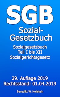 SGB Sozialgesetzbuch - Benedikt W. Hollstein - E-Book