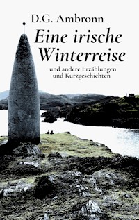 Eine irische Winterreise - D.G. Ambronn - E-Book