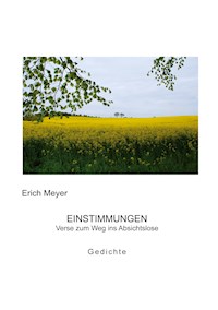 Einstimmungen - Erich Meyer - E-Book