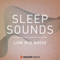 Low Mid Noise - Patricio Samuelsson - Hörbuch