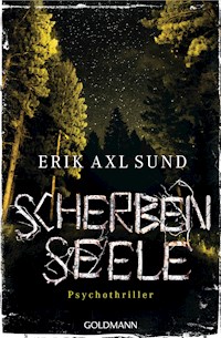 Scherbenseele - Erik Axl Sund - E-Book