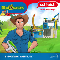 Folgen 09-10: Böse Überraschungen - Antje Seibel - Hörbuch