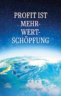 Profit ist Mehr-Wert-Schöpfung - Jochen Schleef - E-Book