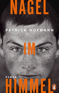 Nagel im Himmel - Patrick Hofmann - E-Book