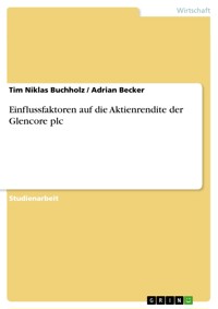 Einflussfaktoren auf die Aktienrendite der Glencore plc - Tim Niklas Buchholz - E-Book