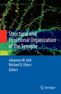 Structural and Functional Organization of the Synapse - - E-Book