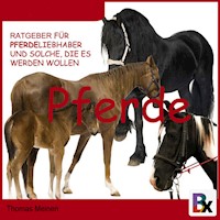 Ratgeber für Pferde-Liebhaber und solche, die es werden wollen - Thomas Meinen - Hörbuch