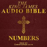 Numbers - Christopher Glyn - Hörbuch