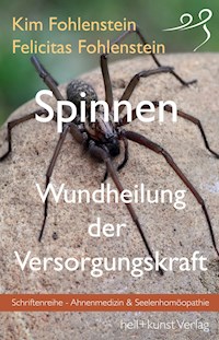 Spinnen - Wundheilung der Versorgungskraft - Kim Fohlenstein - E-Book