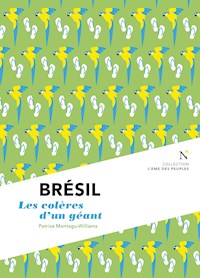 Brésil : Les colères d'un géant - Patrice Montagu-Williams - E-Book