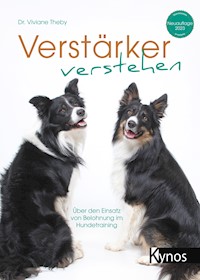 Verstärker verstehen - Dr. Viviane Theby - E-Book