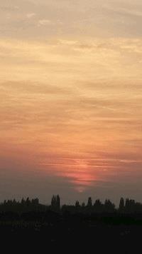 Die Taube Luise - Emanuela Knoll - E-Book