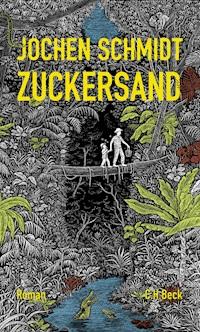 Zuckersand - Jochen Schmidt - E-Book