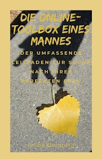Die Dating-Toolbox eines Mannes - Andre Sternberg - E-Book