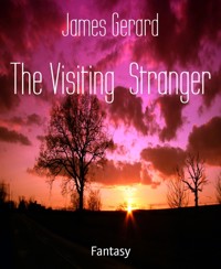 The Visiting  Stranger - James Gerard - kostenlos E-Book