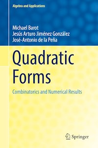 Quadratic Forms - Michael Barot - E-Book