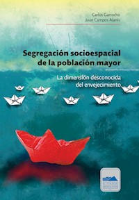 Segregación socioespacial de la población mayor - Carlos Garrocho - E-Book