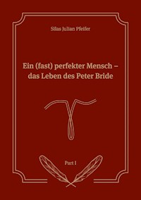 Ein (fast) perfekter Mensch - Silas Julian Pfeifer - E-Book