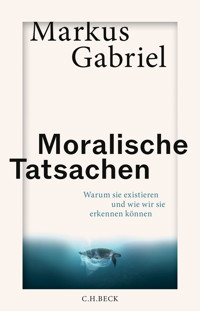 Moralische Tatsachen - Gabriel Markus - E-Book