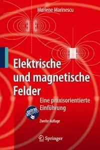 Elektrische und magnetische Felder - Marlene Marinescu - E-Book