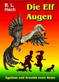 Die Elf Augen - B. L. Hach - E-Book