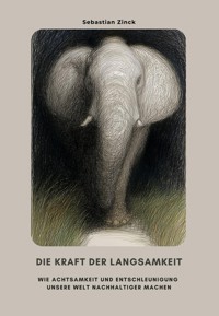 Die Kraft der Langsamkeit - Sebastian Zinck - E-Book