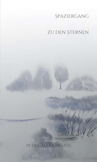 Spaziergang zu den Sternen - petra-alexa prantl - E-Book