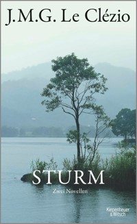 Sturm - J. M. G. Le Clézio - E-Book