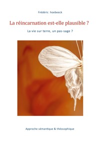 La réincarnation est-elle plausible ? - Frédéric Hoebeeck - E-Book