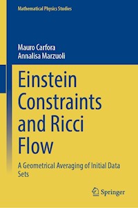 Einstein Constraints and Ricci Flow - Mauro Carfora - E-Book