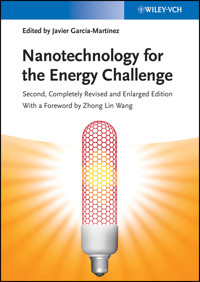 Nanotechnology for the Energy Challenge -  - E-Book