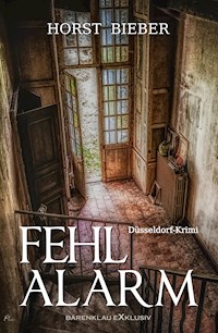Fehlalarm – Ein Düsseldorf-Krimi - Horst Bieber - E-Book