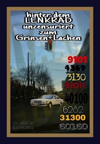 hinter dem LENKRAD - RAYMONDi - E-Book