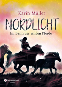 Nordlicht, Band 02 - Karin Müller - E-Book