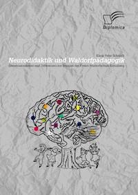 Neurodidaktik und Waldorfpädagogik: Gemeinsamkeiten und Differenzen am Beispiel der Freien Waldorfschule Kreuzberg - Klaus Peter Schmidt - E-Book