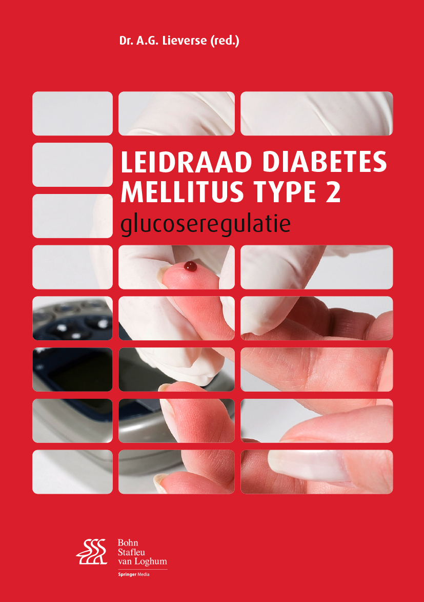 Leidraad diabetes mellitus type 2 - - E-Book