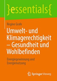 Umwelt- und Klimagerechtigkeit – Gesundheit und Wohlbefinden - Regine Grafe - E-Book