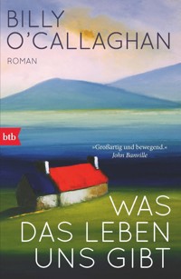 Was das Leben uns gibt - Billy O'Callaghan - E-Book