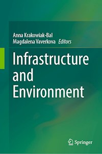 Infrastructure and Environment -  - E-Book